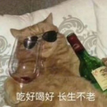 doll Milk Most No.7742